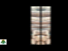 Натуральный деревянный шпон