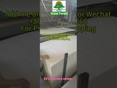 Большой лес - EV КРОСС КОРЕ ВЕНЕР