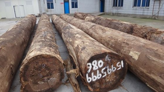 Ламинированный Сантос розовое дерево фанера короны Толщина зерна может быть настроена 0,15-1,8 мм для для кабинета лица
