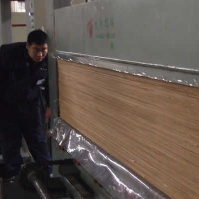 Воспроизвели декоративная естественная облицовка древесины золы с ремесленничествами - Fineline зерна X806