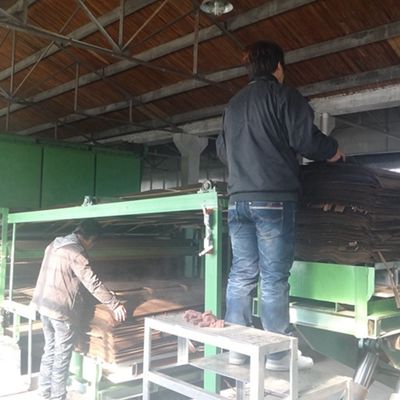Ash Sapele Pommele Инженерная древесная фанера Стандартный размер 2500*640 мм