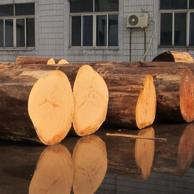 Специализированный Rec Elm Wood Veneer Straight Cut And Crown Cut для кабинета с лицом 2500 * 640 мм