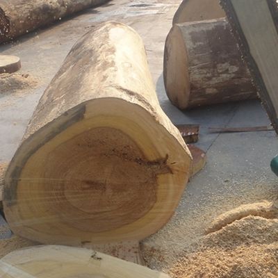 Ev Veneer Arrow X2033 Slice Cut Техника прямых зерен Серого цвета для внутреннего декора