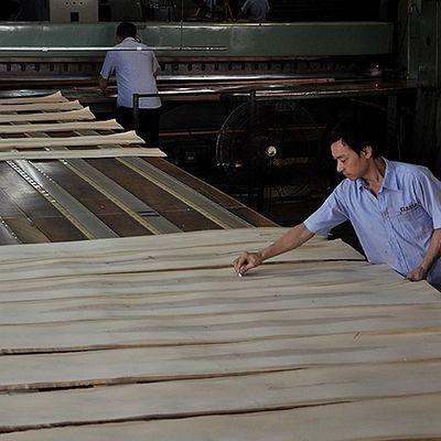 Отрезок кроны естественной Mahogany деревянной облицовки мебели и аппаратур музыки плоский отрезанный
