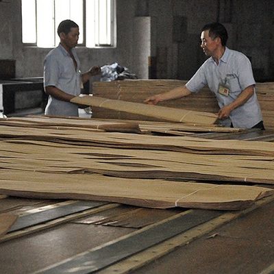 Европа естественная вычисляемая древесина явора лощит плоскую отрезанную крону отрезала толщину 0.5mm для умирать и шкафа