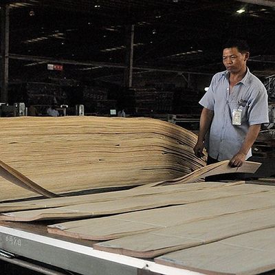 Линия прямое зерно черноты контраста облицовки Teak ранга AAA деревянная для причудливой переклейки
