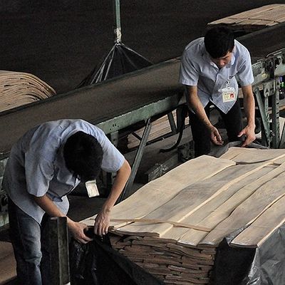 Облицовки узелка белого ясеня FSC зерно картины естественной спиральное ранг на толщина 0.5-0.55mm украшения гостиницы