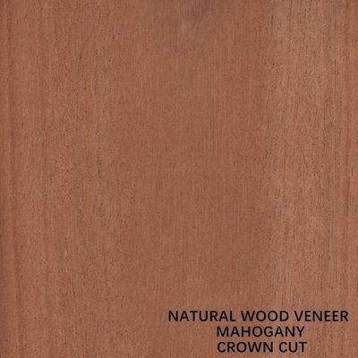 Отрезок кроны естественной Mahogany деревянной облицовки мебели и аппаратур музыки плоский отрезанный