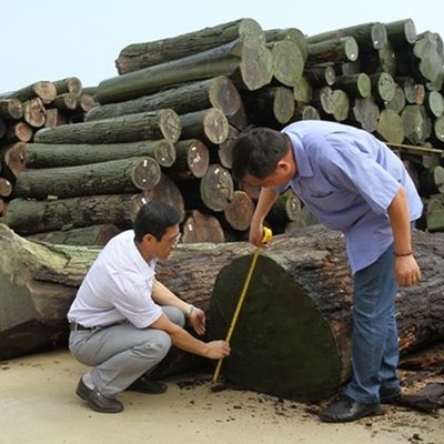 Настраиваемый деревянный фанера цветной облака X2391 Нерегулярная текстура 2500 * 640 Нормальный размер Для декорации