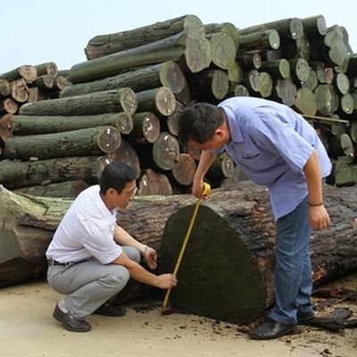 Новый дизайн искусственного фенера из кедрового дерева FCW-L146N/L246C