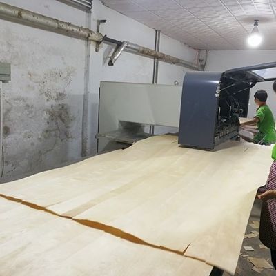 Высококачественная деревянная фанера серая LATI GL-X2423 прямое зерно 0,55-1,8 мм для фабрики фанеры