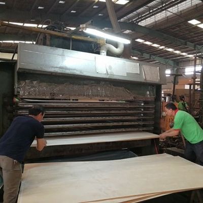 Высококачественная деревянная фанера серая LATI GL-X2423 прямое зерно 0,55-1,8 мм для фабрики фанеры